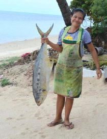 �o���|�[�r�[�`�̃��X�g����