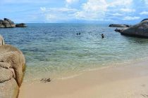 �ό������q���_�q�����C