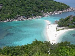 �i�����A�����V���m�[�P�����O�c�A�[