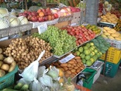 �T���C���̉J�G3